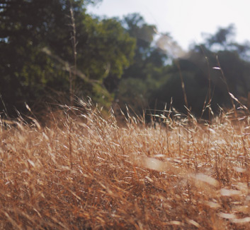 拉脱维亚男篮全力以赴，誓取胜利